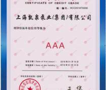 平頂山企業(yè)信用評級 信用等級評估與服務價值解析