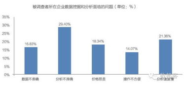 中國大數據產業發展前景與投資規劃分析 數據處理服務的機遇與挑戰